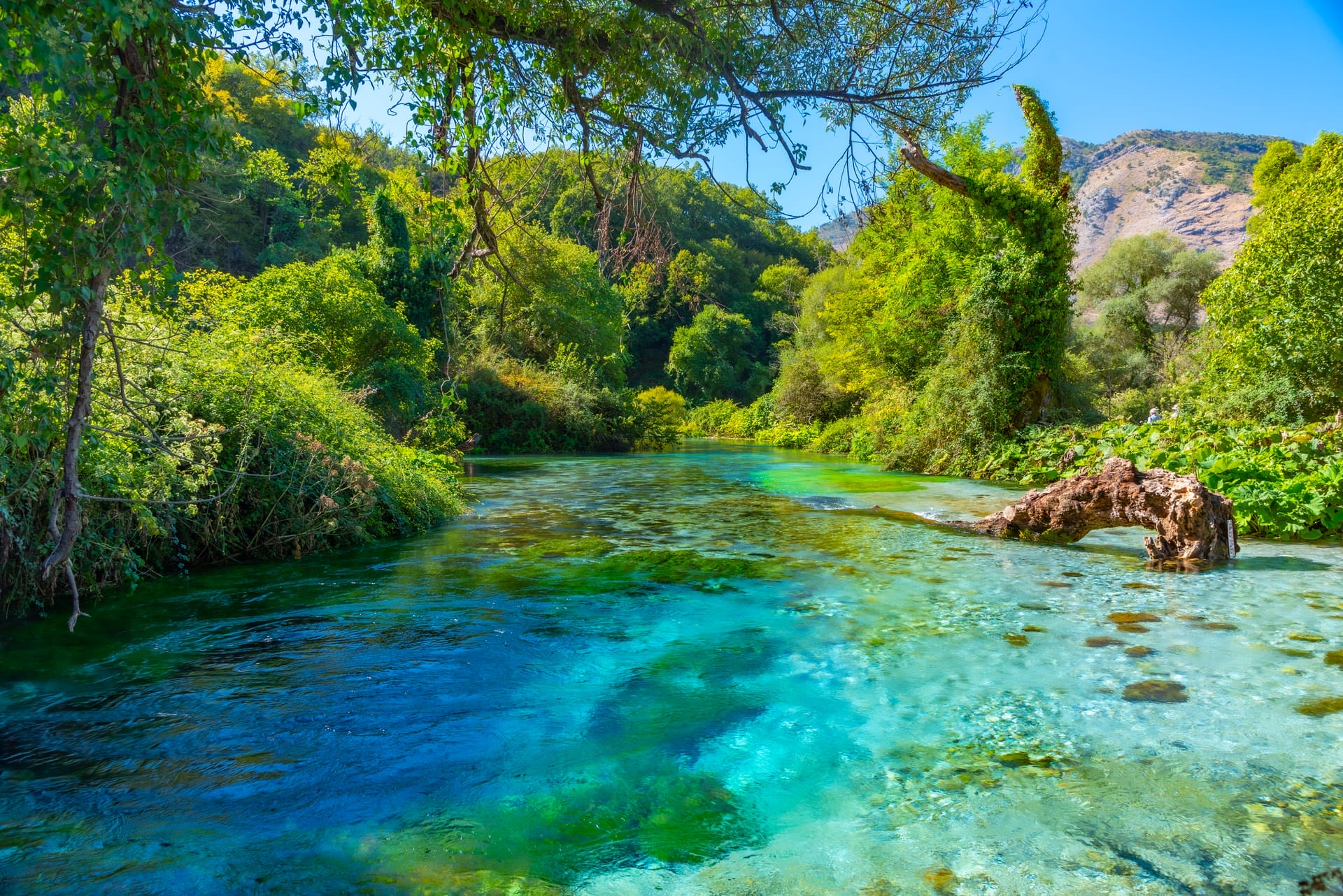 Discover Albania's Alluring Blue Eye Spring | Visit Albania