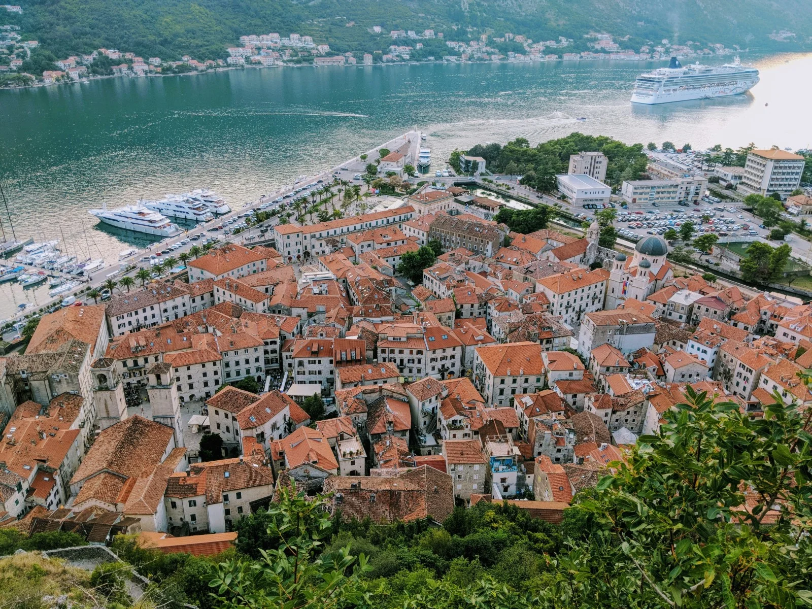 Kotor