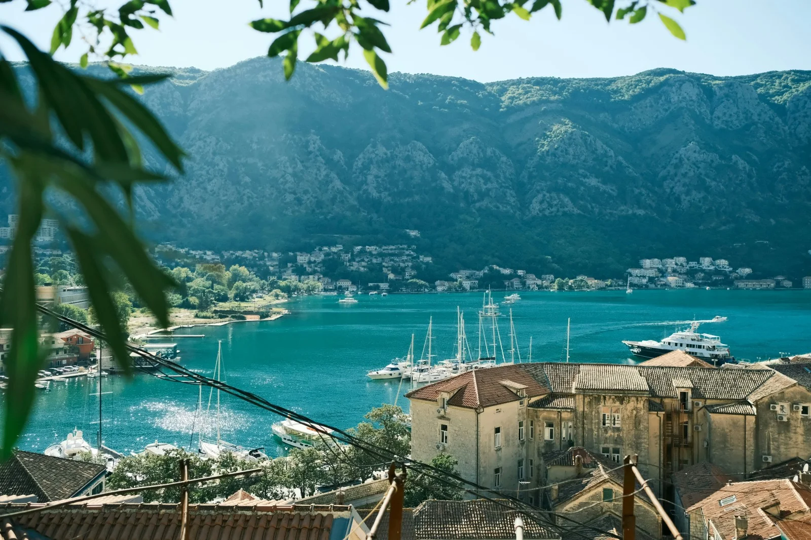 Kotor